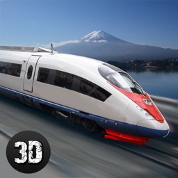 Japanese Train Driving Simulator