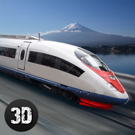 Japanese Train Driving Simulator