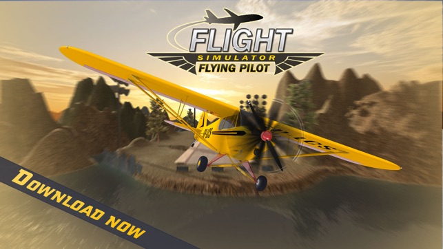 Flight Simulator: Flying Pilot(圖1)-速報App