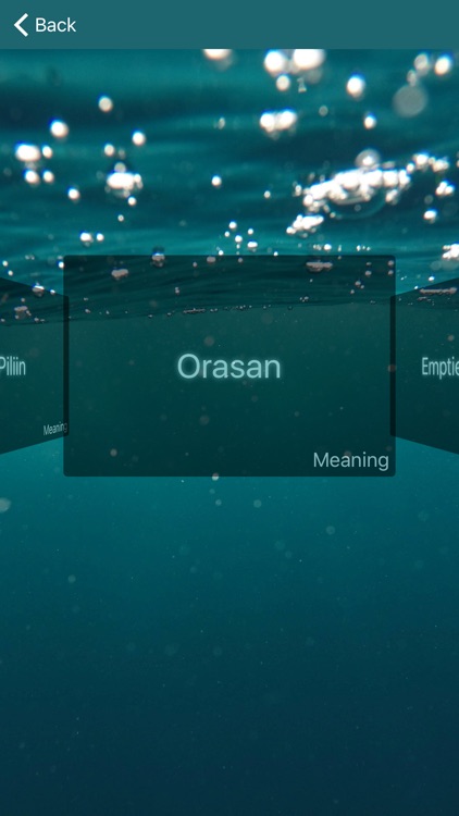 Filipino Dictionary screenshot-4