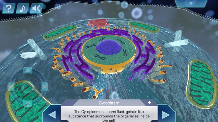 Cell World