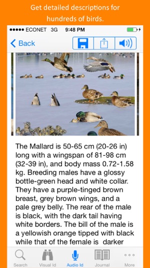 Twigle Birds Field Guide(圖3)-速報App