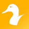 Ducks are fascinating animals, learn more about them with this incredible app