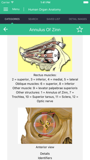 Human Organs Anatomy Reference(圖5)-速報App