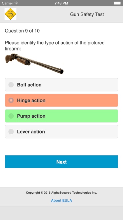 Gun Safety Test