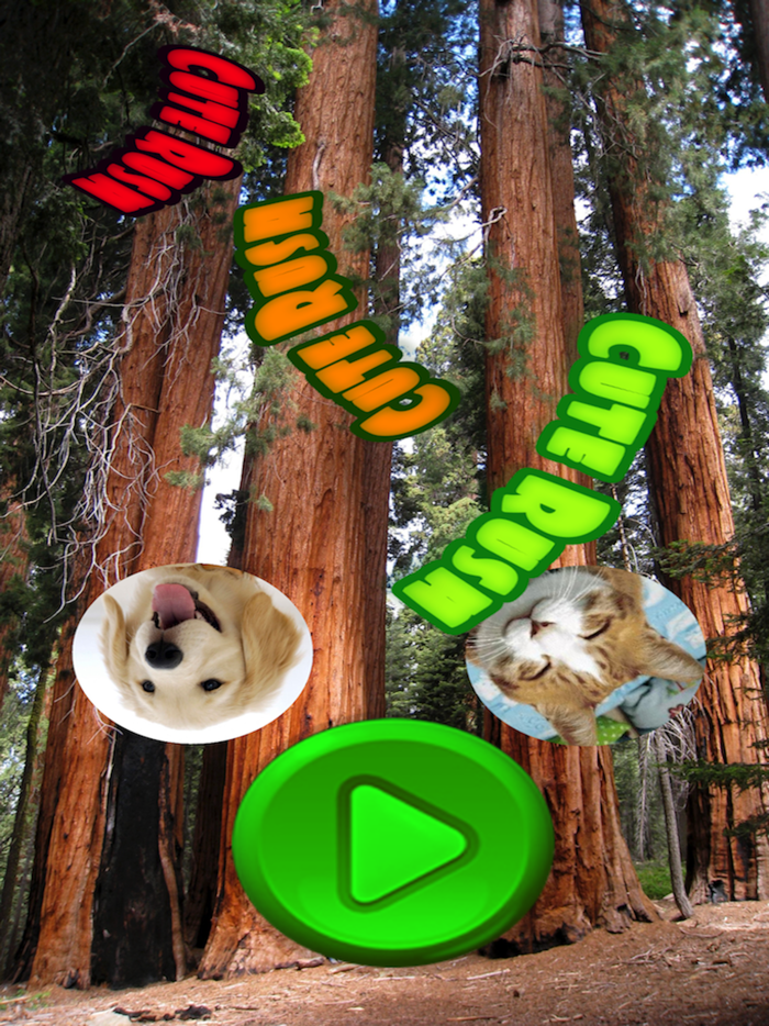 Super Cute Pet Touch超可爱宠物摸