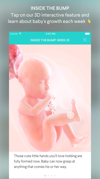The Bump - Daily Pregnancy and Baby Tracker