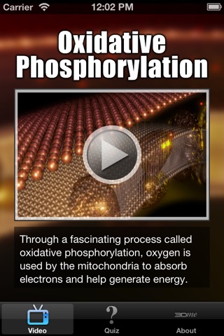 Oxidative Phosphorylation screenshot 2