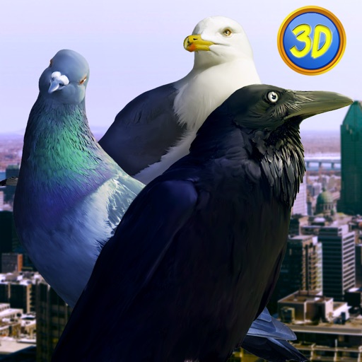 City Birds Simulator icon