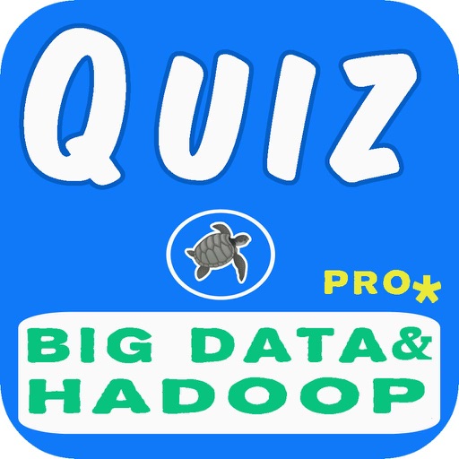 Big Data And Hadoop Questions Pro icon