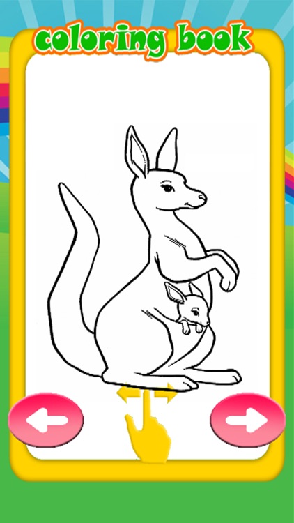Animal Cartoon Coloring Pages Kangaroo Drawing