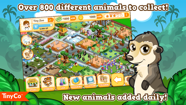 Tiny Zoo Friends(圖5)-速報App