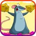 Rato esperto icon