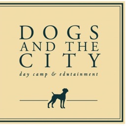 Dogs and the City