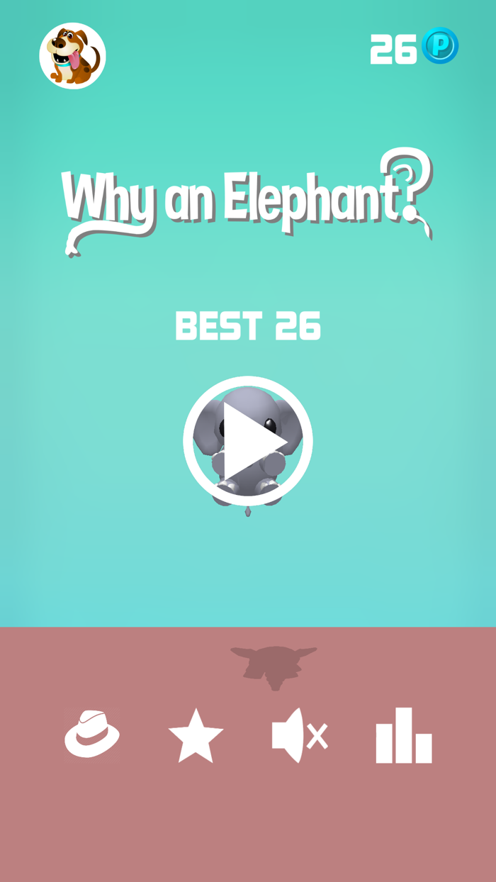 Why an Elephant?