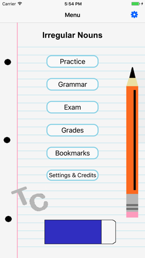 Irregular Nouns(圖2)-速報App