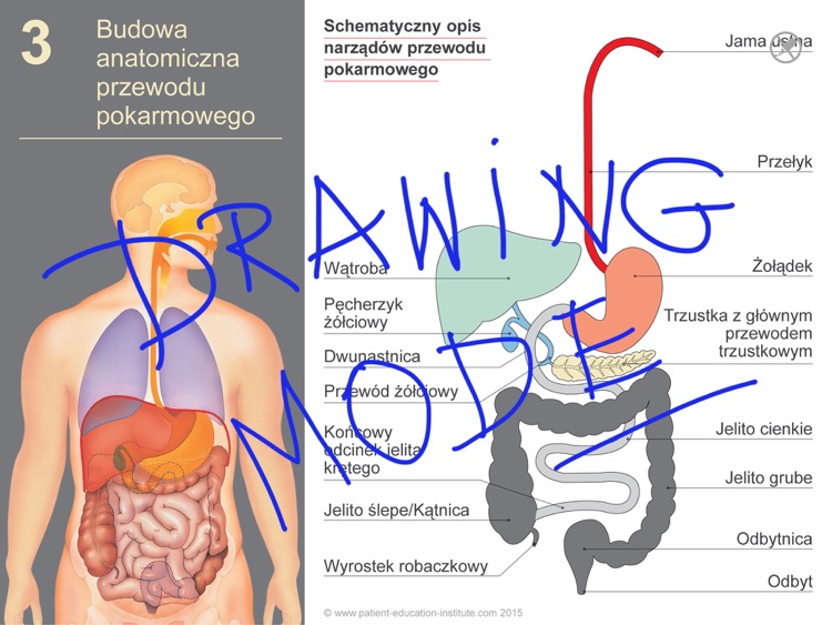 Bariatria