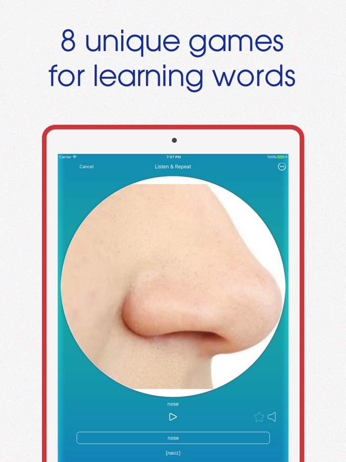 Offline Learn Italian language