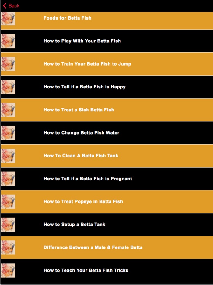 Betta Fish Care - Tips for Raising a Healthy Betta