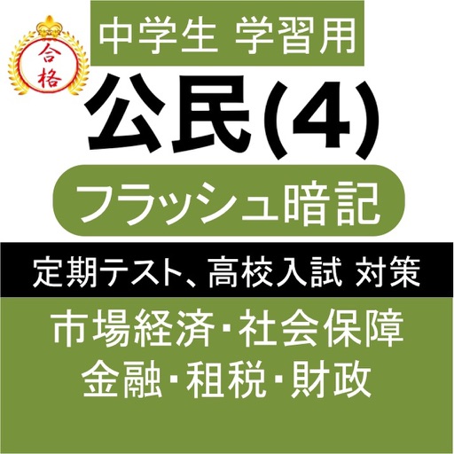 中学 公民 (4) 中3 社会 復習用 定期テスト 高校受験