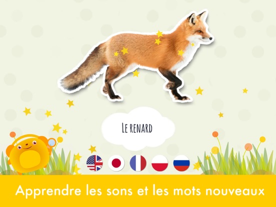 Premiers mots: Les animaux Premiers mots: Les animaux
