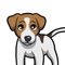 React with cute Jack Russell Dog Stickers and Emojis Pack