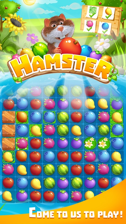 Hamsters in Cups — Comparison of Hamster-in-Cup Game Apps The 3