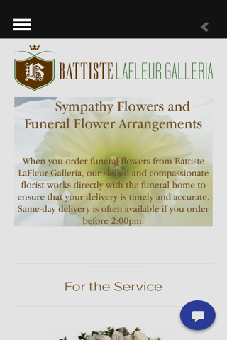 Battiste LaFleur Galleria screenshot 4