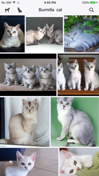 Dog & Cat Breed Finder screenshot-4
