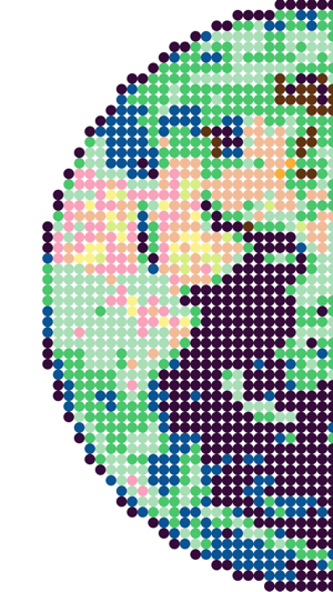 Candied – Candy Mosaic Generator