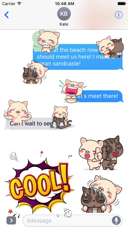 Pig and Cat Lovely Friend
