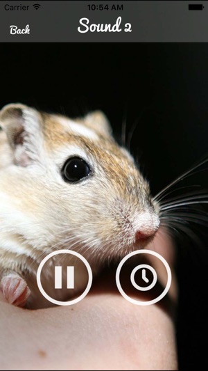 Mouse and Rat Sounds(圖3)-速報App