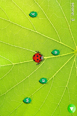 Ladybug Munch screenshot 3