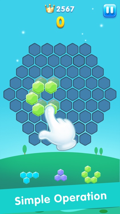 Hexa Blast:Block Puzzle