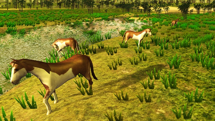 Horse Simulator - Ultimate Wild Animal screenshot-4
