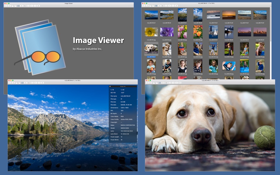 View software. Image viewer. Pictus image viewer. Pictus программа. Image viewer версия 2.0 Скриншоты.