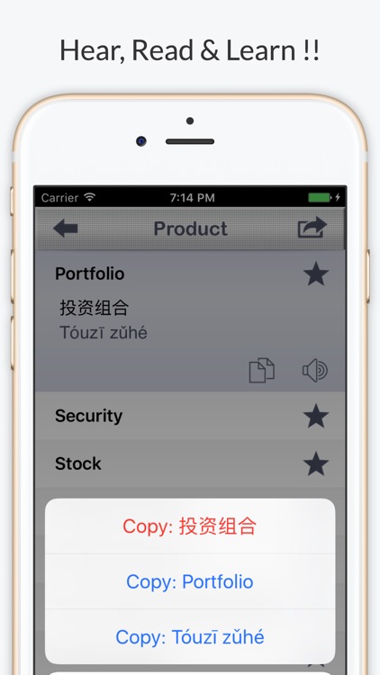 Financial Chinese - Phrases, Words & Vocabulary screenshot-3