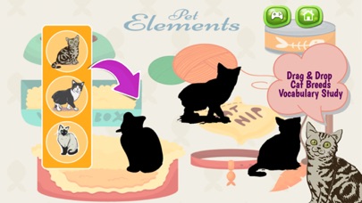 How to cancel & delete Cats And Kittens Shadow Matching Game from iphone & ipad 3