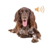Dog Soundboard