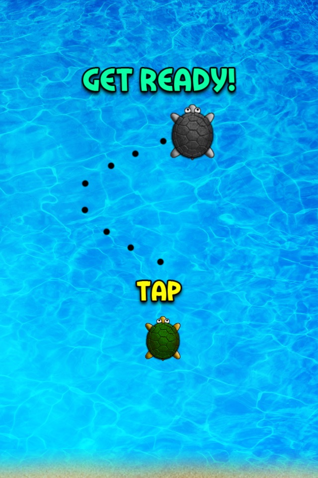 Turtle Surfer screenshot 2