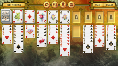 How to cancel & delete Forty Thieves Solitaire Hearts & Spades Patience from iphone & ipad 1