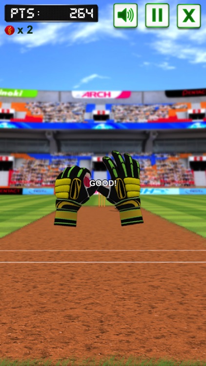 Cricket Fielder Challenge Pro screenshot-4