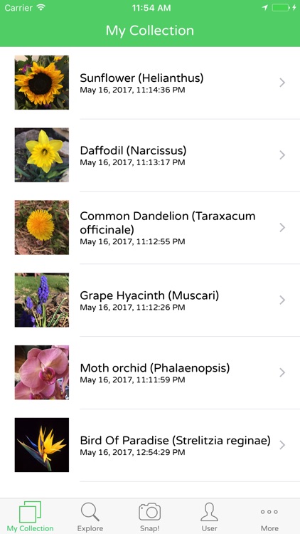 PlantSnap Plant Identification
