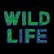 This summer Disclosure & Rudimental present WILD LIFE Festival