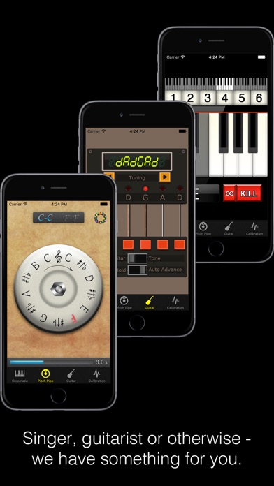 Pitch Pipe+ screenshot1