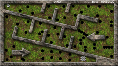 The Labyrinth Tilt Maze screenshot1