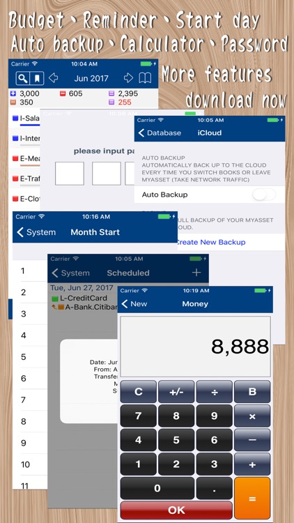 MyAsset Pro - My Accounting Book Pro screenshot-4