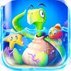 Activities of Turtle Blitz