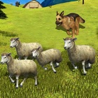 Sheep Dog : Trained Herding Dog Simulator
