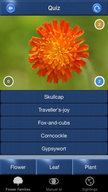 Wild Flower Id Automatic Recognition British Isles screenshot-4